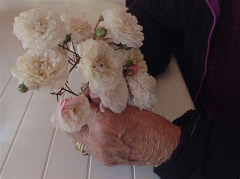 Patients who begin hospice earlier in their final months experience less suffering and have quality time with those they love. Online Hospice Nursing Degree Programs