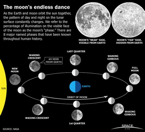 Earths Moon Phases Monthly Lunar Cycles Infographic