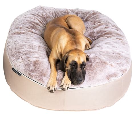 Pet Beds Dog Beds Designer Dog Bean Bags Cappuccino Extra Large