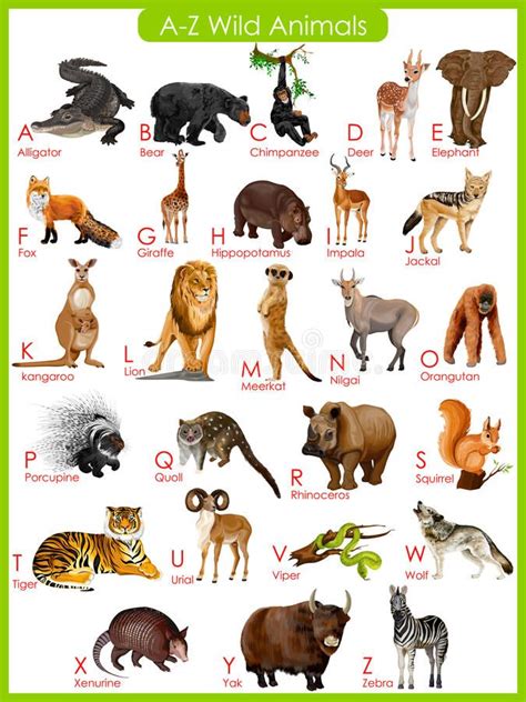 Photo About Easy To Edit Vector Illustration Of Chart Of A To Z Wild