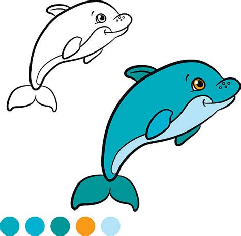20 Coloring Pages Marine Wild Animals Little Cute Dolphin
