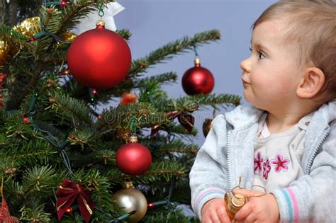 Baby And Christmas Tree Royalty Free Stock Photography Image 12910107