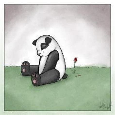Image 63382 Sad Panda Know Your Meme