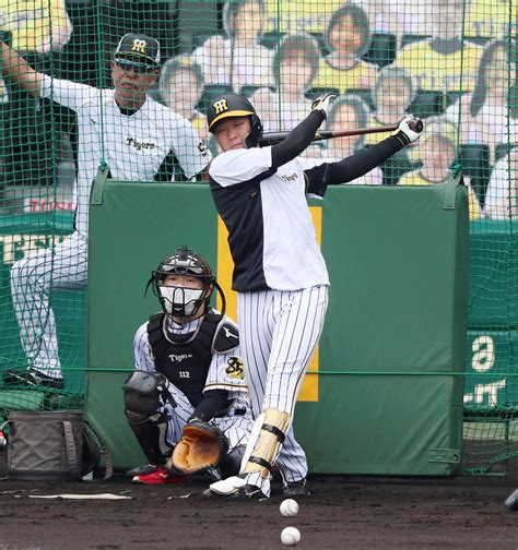 プロ野球 mlb サッカー ゴルフ フィギュア ラグビー 相撲 競馬 高校野球 格闘技 その他スポーツ tokyoオリパラ コラム. ボーア低めにもろさ 4番は適任の大山／梨田昌孝 - 評論家コラム - 野球コラム写真ニュース : 日刊スポーツ