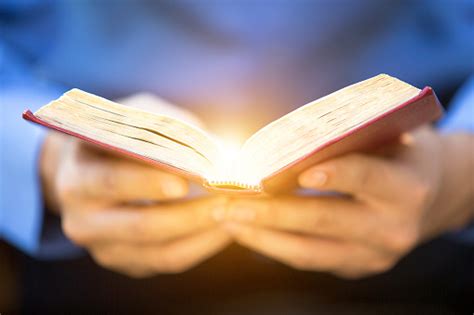 A Man Reading The Holy Bible Stock Photo Download Image Now Istock