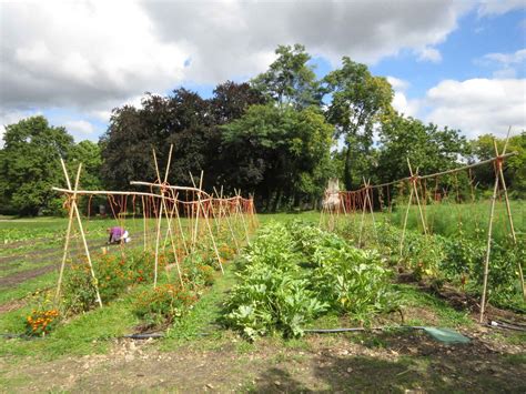 Tre Locavore C Est Aussi Partager Un Potager Paris