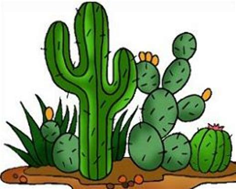 Download High Quality Cactus Clipart Desert Transparent Png Images
