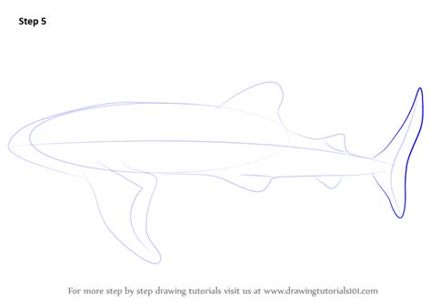 How To Draw A Whale Shark Step By Step Easy Animals To Draw Images