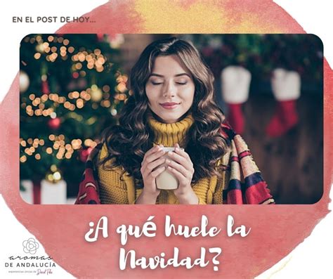 ¿a Qué Huele La Navidad 7 Aromas De Estas Fiestas