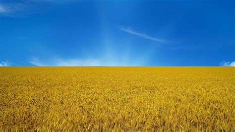 — сучасна фотографія — це картинка плюс ваше висловлювання. Обои небо, flag, Украина, флаг на рабочий стол 60447