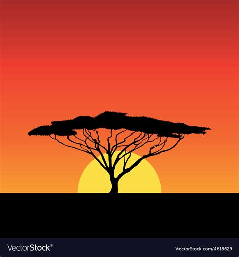 Africa Sunset Royalty Free Vector Image Vectorstock