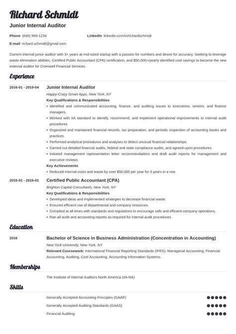 Auditor Resume Sample And Guide 20 Examples