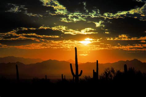 15 Best Things To Do In Marana Arizona Trip101
