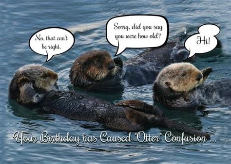 Otters And Praising Birthday Birthday Card With Your Own Handwriting Stephanie Laird