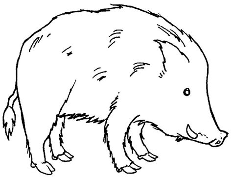 Ausmalbild eule zum thema malvorlagen eulen eulen ausmalbilder zum ausmalen. wildschweine ausmalbilder #ausmalbilder #wildschweine | Ausmalen, Tiere zum ausmalen, Wildschwein