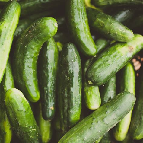 Combine strawberries, onions, cucumbers, mint, basil, lime juice, salt and pepper. Cucumbers — Second Nature Farm