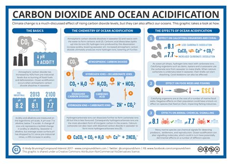Ocean Acidification The Other Carbon Dioxide Problem