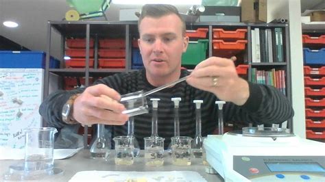 The guard cells then swell with. Osmosis in Potato Cells Experiment - YouTube