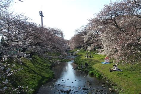 Manage your video collection and share your thoughts. 立川公園／東京の観光公式サイトGO TOKYO