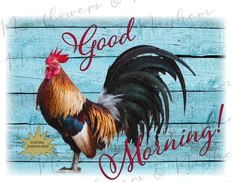 Good Morning Rooster Digital Download Sublimation Etsy
