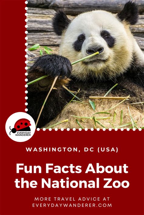 9 Fascinating National Zoo Facts About The Smithsonian Zoo In Dc
