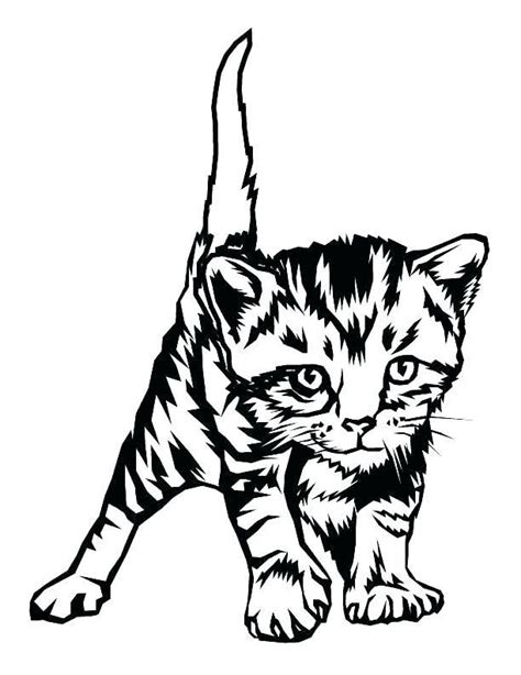 Realistic Cat Coloring Pages Tabby Cat Coloring Pages at Getdrawings