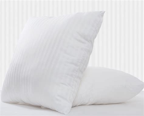 Everyday supplies · unique & vintage items · talented creators 16X16 Poly White Hypoallergenic Stuffer Cushion Throw ...