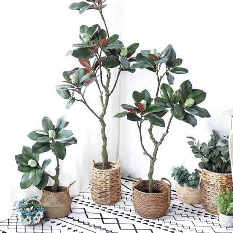 Fake magnolia flowers for sale. Wholesale Indoor Decoration 70cm 30in Artificial Magnolia ...