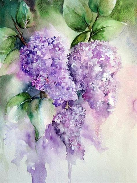Fabulous Lilacs Painting And Drawing Watercolor Paintings Easy Easy