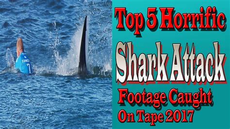 Top 5 Horrific Shark Attack Footage Caught On Tape 2017 Shark Attack