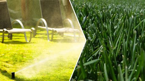 Summer Maintenance Tips For Your Bluegrass Or Fescue Lawn