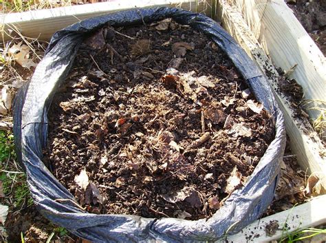 The happy husband showed off his manly skills for me by drilling. The Rusted Vegetable Garden