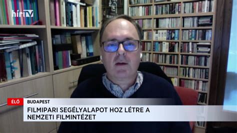 Precedens abban a tekintetben, hogy korábban nem volt még hasonlóra példa. Káel Csaba: Segélyalappal segítik a szabadúszó filmeseket ...