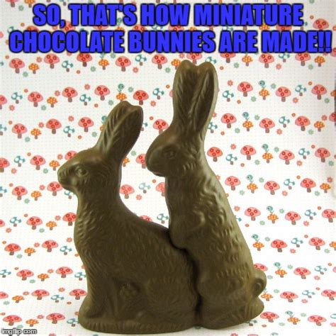 Easter Bunny Imgflip