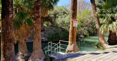 We will never ask you to wire money or pay with gift cards. Palm Creek RV Resort and Picnic Grounds, Moapa Town | Roadtrippers