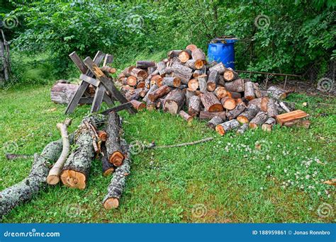 Pile Of Firewood In A Garden In Sweden Stock Image Image Of Firewood