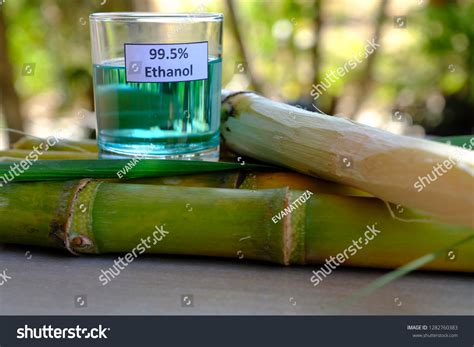 Ethanol Produced Sugarcane Stock Photo 1282760383 Shutterstock