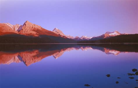 Maligne Lake With Mountain Behind On A By Design Pics
