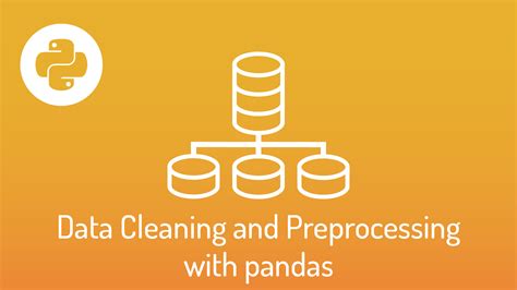 Data Cleaning And Preprocessing With Pandas 365 Data Science