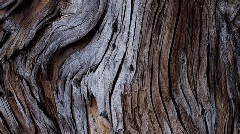 Download Wallpaper 3840x2160 Wood Texture Cracks Bark