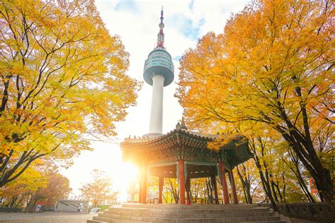Mùa Thu Xứ Hàn Quốc Tháng 11 Du Lịch Mở Toàn Cầu Tổ Chức Tour