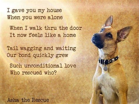 If U Can Rescue A Pet Please Do Dog Poems Dogs Rescue Dogs