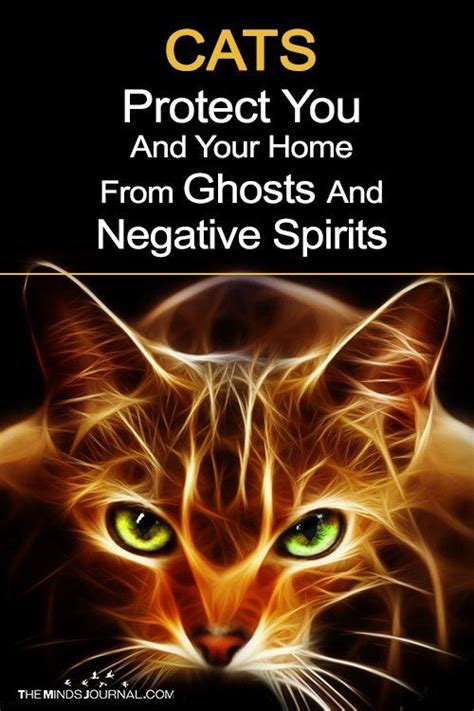 Cats Protect You And Your Home From Ghosts And Negative Spirits Cat