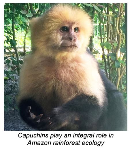 Pacific Primate Sanctuary Inc