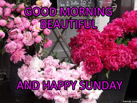 Have A Happy Sunday Good Morning Good Morning Wishes And Images
