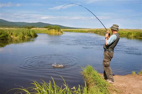 Salmon and steelhead in coastal bays and tributaries. The Best Salmon Fishing Poles 2020 - Buyers Guide
