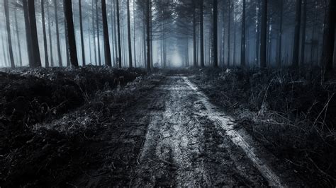 Download 1920x1080 Scary Forest Path Trees Dark Fog Dirt Road