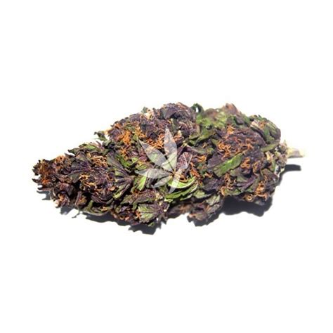 Fleurs De Cbd Cannabidiol Purple Haze Outdoor Top Qualité