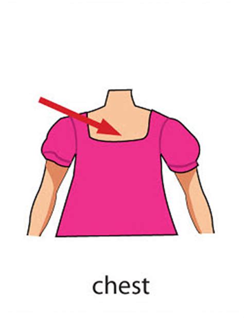 The condition makes it harder for the heart. Body Part- Flashcard - Dictionary for Kids