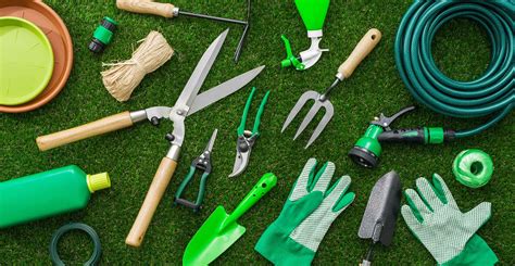 Productos de Jardinería: Crea tu Jardín de Ensueño